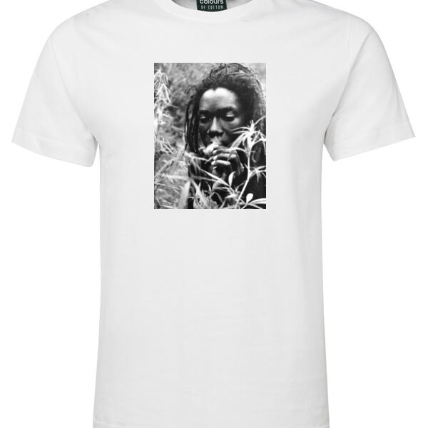 Collie Field Thumbnail