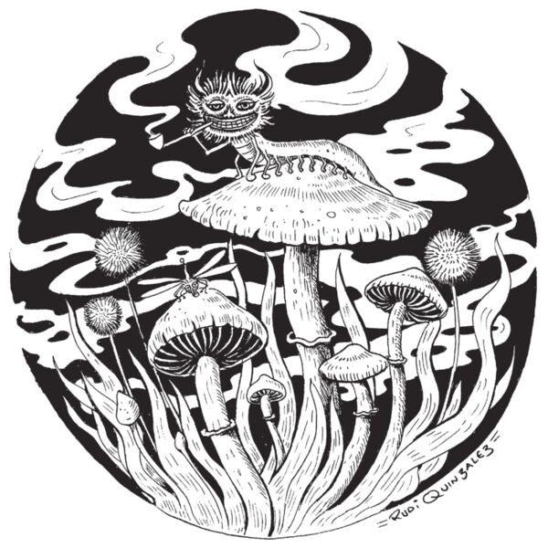 Catepillar on white 1 Thumbnail